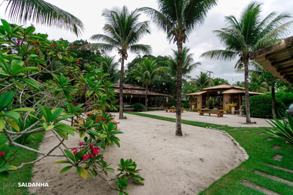 Aipim Porto Seguro
